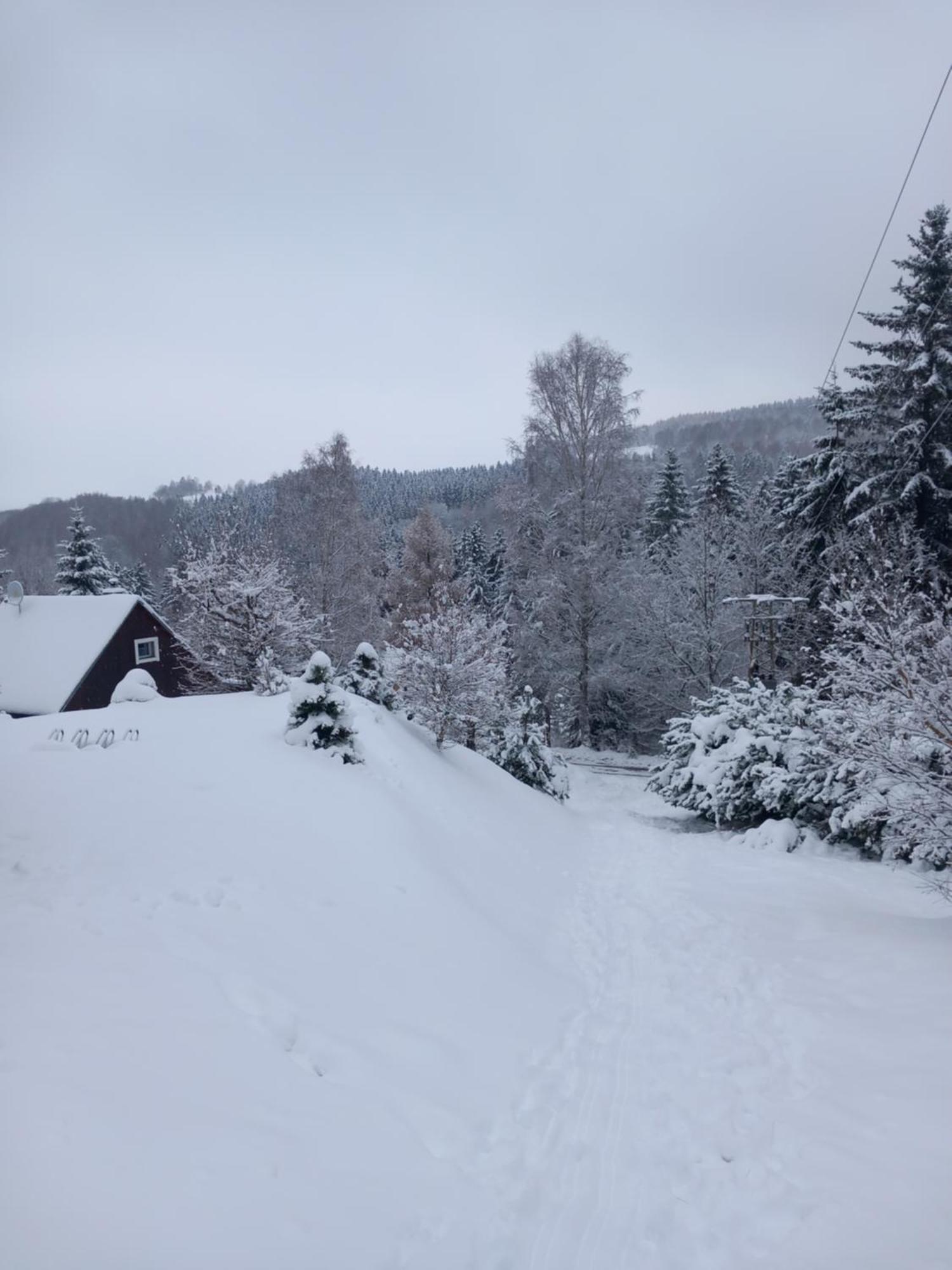 Hygge Chaloupka V Horach Villa Cesky Jiretin Exterior photo
